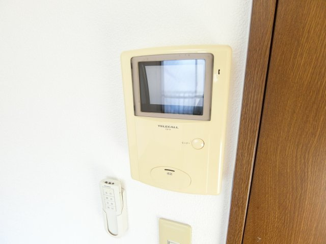 アムールもみの木のセキュリティ