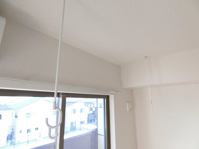 フェリスウラタのその他