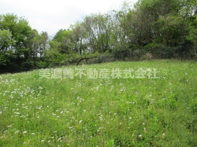 ５３７２２　本巣市文殊土地の外観