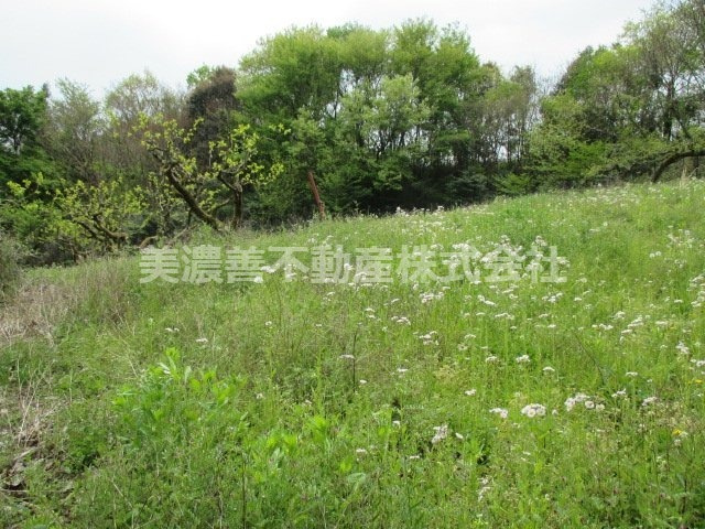 ５３７２２　本巣市文殊土地の外観