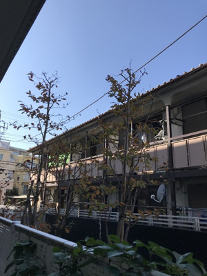 【展望】 | ドゥーエ浦安 | 景色