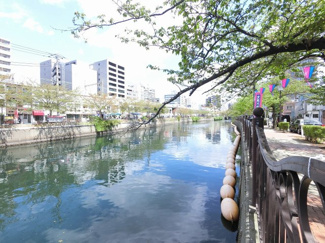 【周辺】 | 春には大岡川の桜並木が楽しめます！
