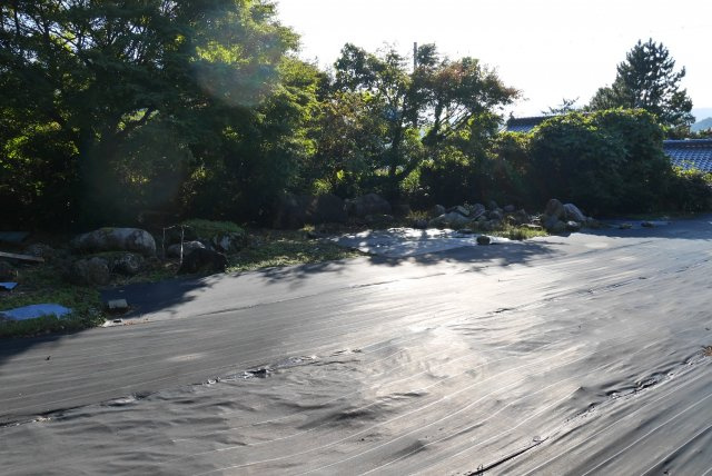 苫田郡鏡野町奥津　売土地306坪の外観
