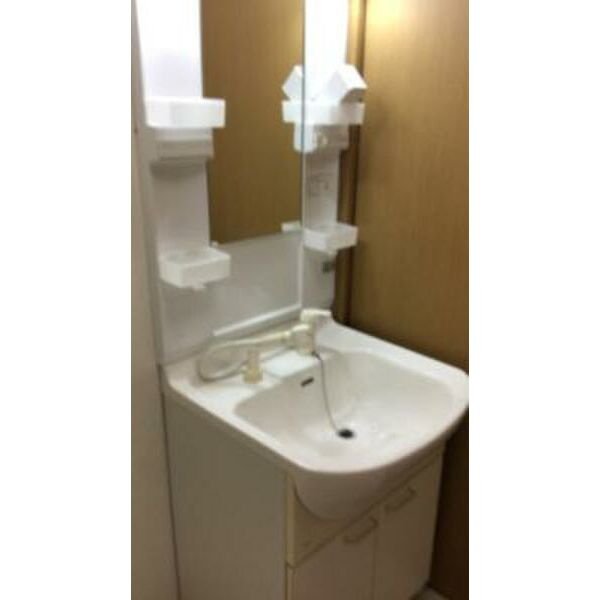 ハイツリバーサイドの洗面所