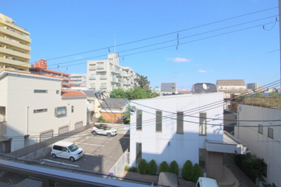 【展望】 | ラクーンドッグ
