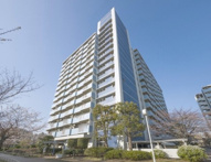 越中島三丁目ハイツ３号棟の画像