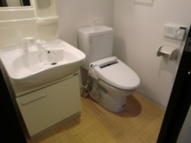 セレブコート木川の洗面所