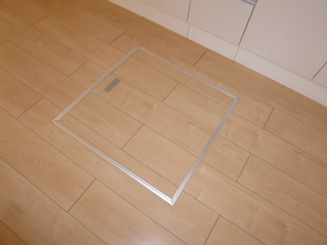 ディリジェント　サユリＢの収納