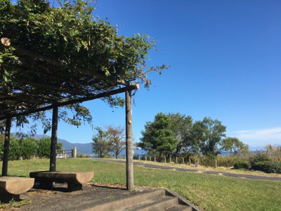 【周辺】 | 大津市和邇北浜　目の前がびわ湖の戸建て | 近隣公園