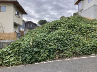 【前面道路含む現地写真】 | 大津市衣川2丁目5　売土地 | 2024年11月　撮影