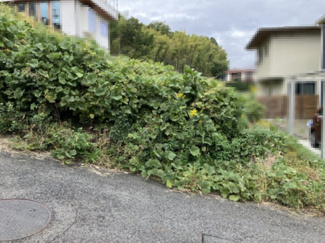 【前面道路含む現地写真】 | 大津市衣川2丁目5　売土地 | 2024年11月　撮影