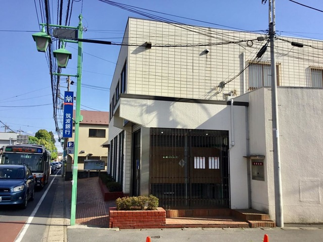 ロイヤル　パピヨンのその他