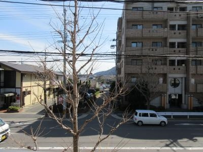 ラ・ファルド嵯峨の展望|南向き眺望