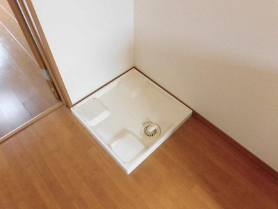 【その他】 | コウシンソウ