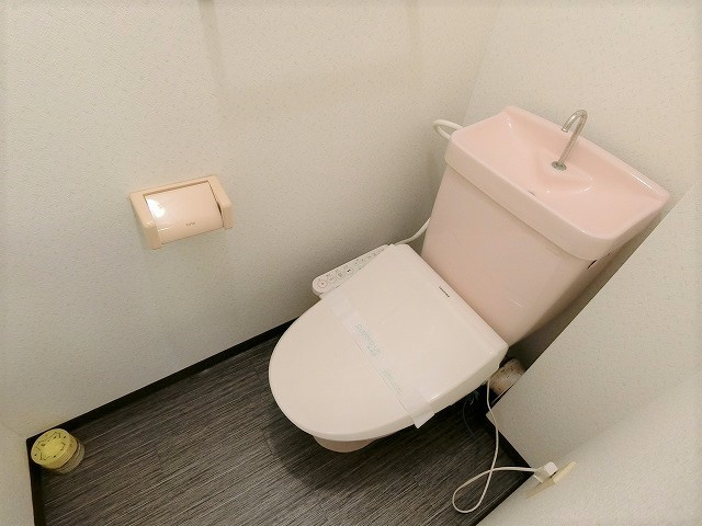 パークハイツ田園のトイレ