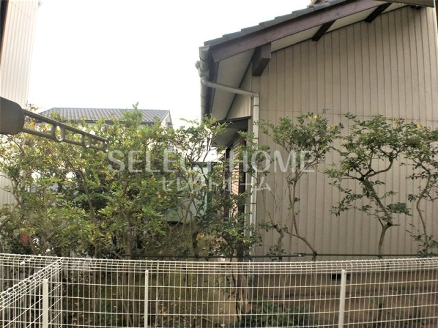 【展望】 | シャンツェ未来