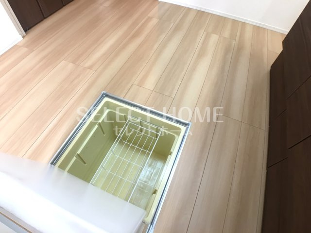  | シャンツェ未来
