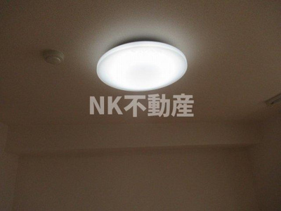 【設備】 | エクレール上小阪（河内小阪賃貸） | 照明です