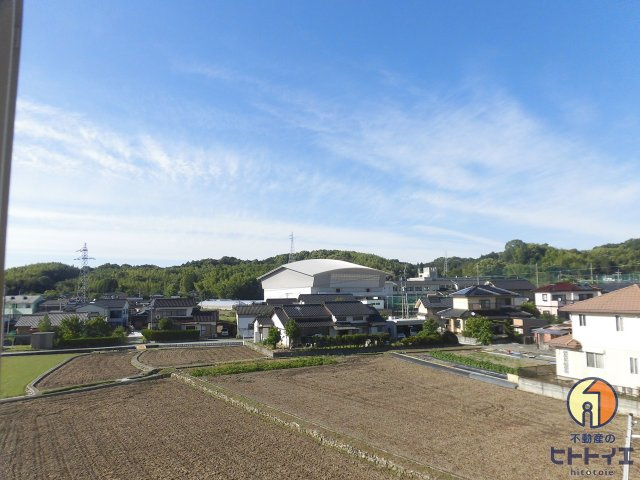池田ハイツ2の展望|季節になると黄金色のじゅうたんが心を癒してくれます