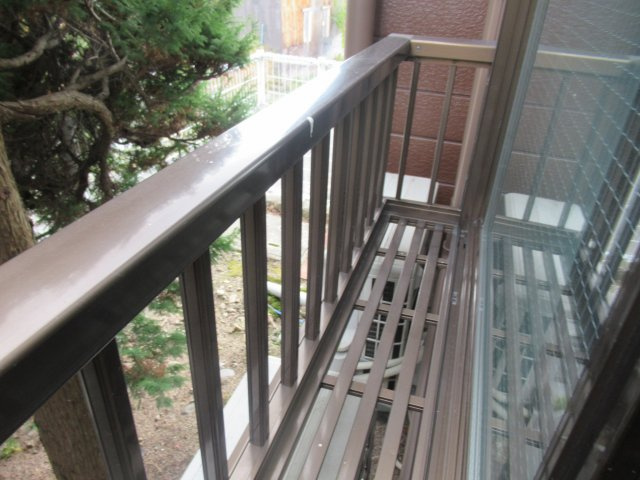 ドミトリープリンスのその他