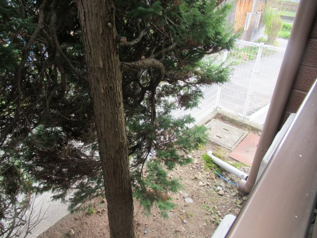 ドミトリープリンスのその他