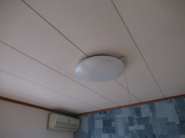 ドミトリープリンスのその他