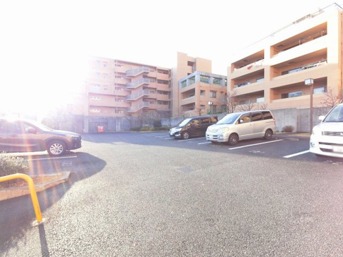 東急ドエル 横浜ヒルサイドガーデン壱番館 株式会社日本セルバン 横浜 川崎の不動産情報