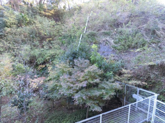 【展望】 | 物件からの眺望です。
緑が多く落ち着きます。