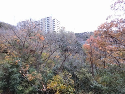 【展望】 | エステ・シティ湘南六浦壱番館 | 2階部分からの眺望♪