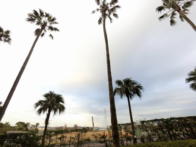 【展望】 | エステ・シティ湘南六浦壱番館 | 2階部分からの眺望♪