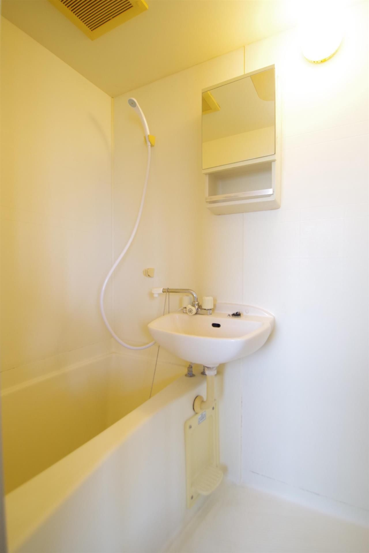 エリーナ新屋敷の独立洗面台