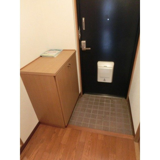熊本市中央区国府本町の賃貸マンションの玄関