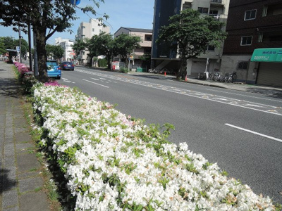 【周辺】 | グランデュオ本牧 | 前面道路です。