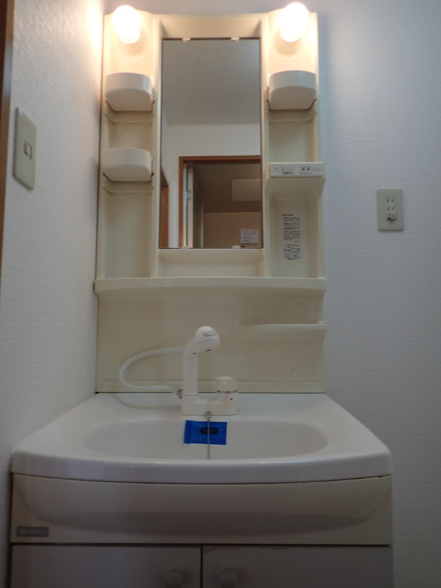 第二新海マンションの独立洗面台