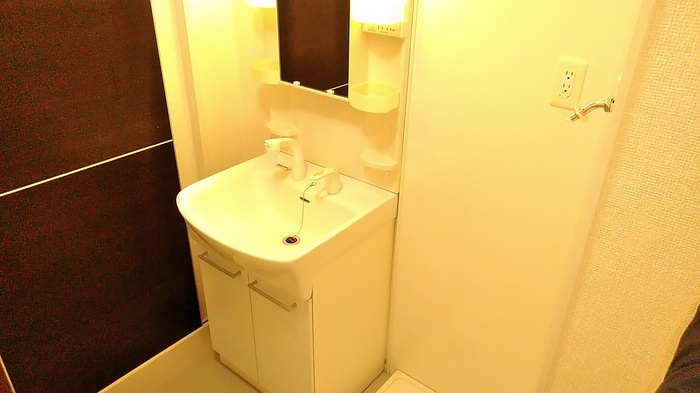 グランディールBの洗面所