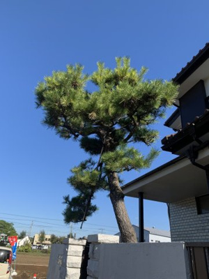 【庭】 | 学園貸家2号棟