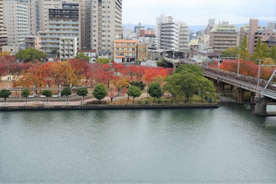 【展望】 | メロディーハイムグランセーヌ | 都会にいながらにして四季の移ろいを感じられるお部屋です。今は紅葉がきれいです。
