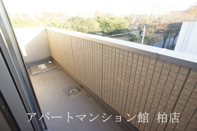 グランフェリシアの展望