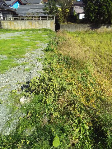 高島市朽木市場119坪土地の周辺