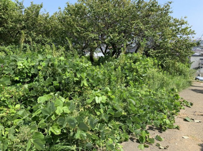 【外観】 | 日立市諏訪町3丁目売地