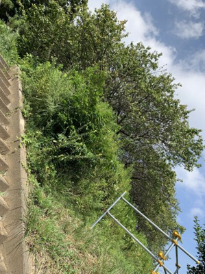 【外観】 | 日立市諏訪町3丁目売地