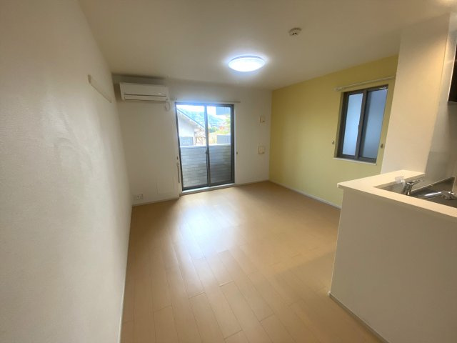 フランのその他