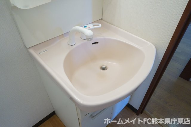 アーバンパレスの洗面所