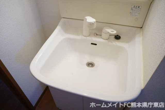 熊本市南区田迎５丁目のアパートの独立洗面台