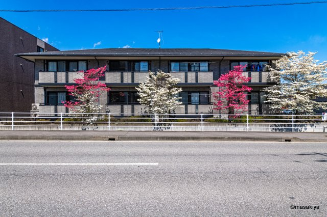 ツインズコート稲田