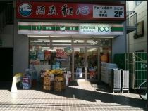 ヘリオス市ヶ谷の周辺|ローソンストア100