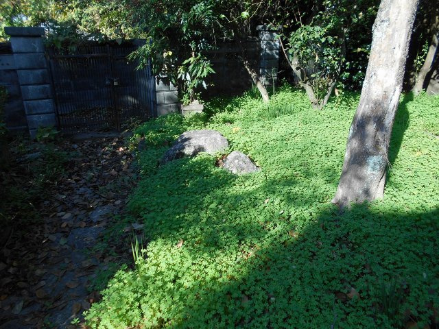 赤坂　武井邸