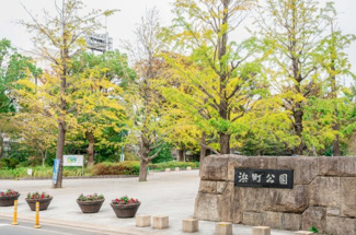 【周辺】 | 浜町公園