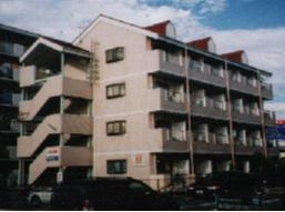 メゾンスコールの外観