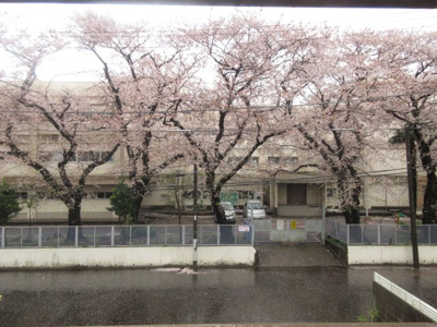 【展望】 | 小川ハイム